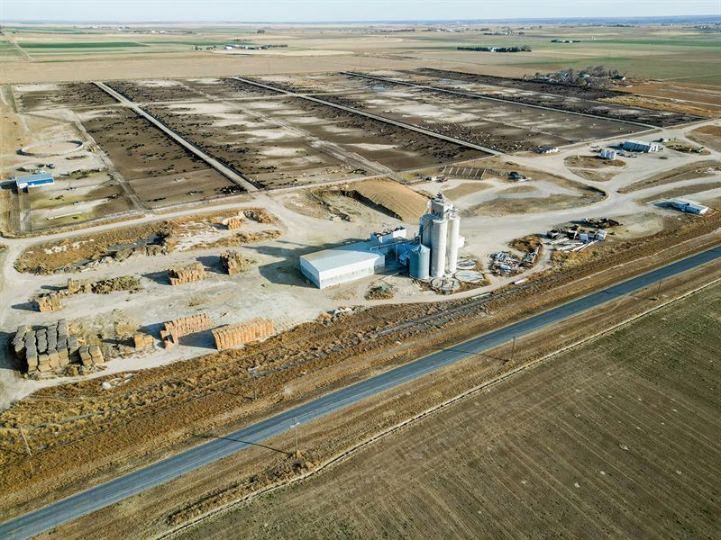 106 Pen Feed Yard for Sale in SE CO : Lamar : Prowers County : Colorado