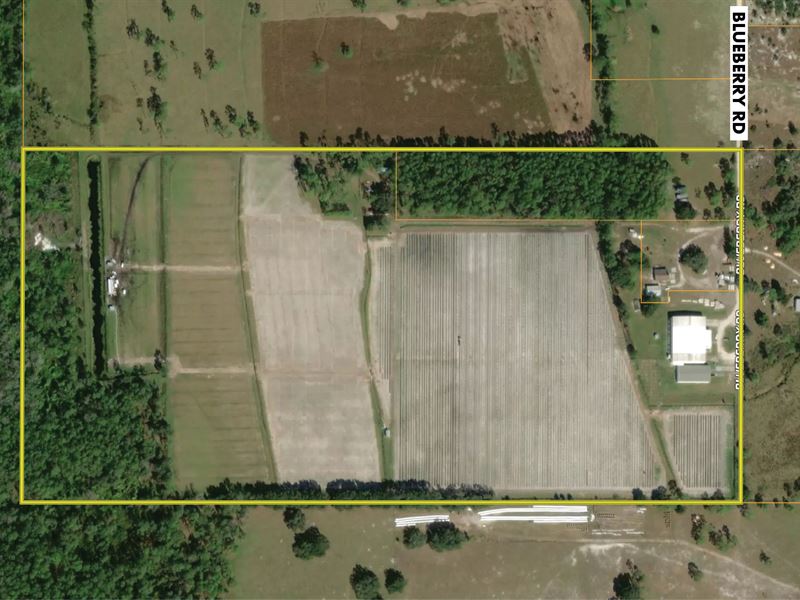 Cooled Packing Facility & Farmland : Sebring : Highlands County : Florida