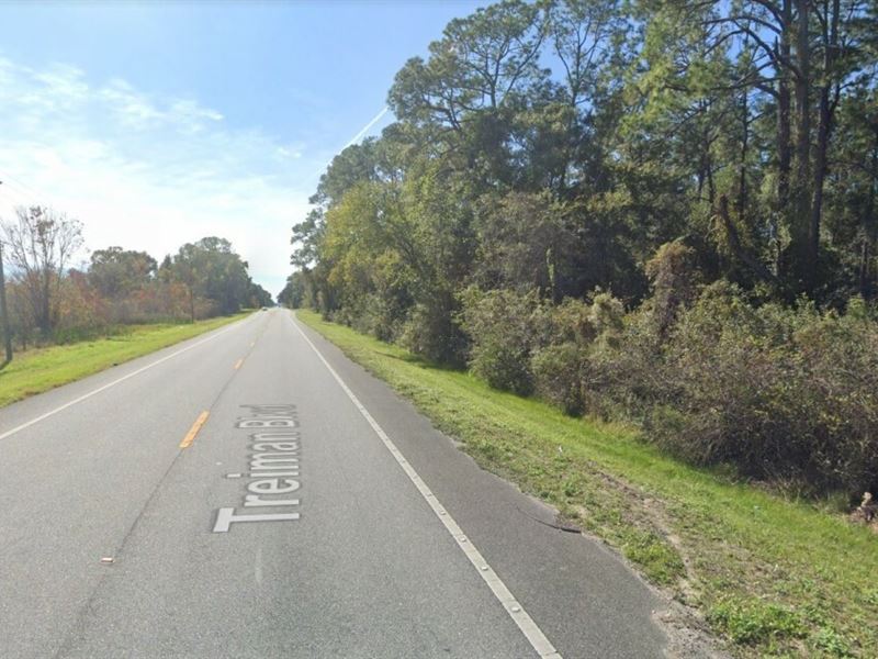 .18 Acre for Sale in Webster, FL : Webster : Hernando County : Florida