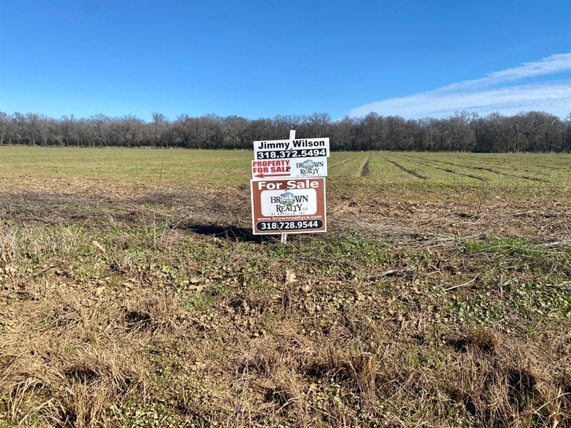 La, Richland 28 Acres : Rayville : Richland Parish : Louisiana