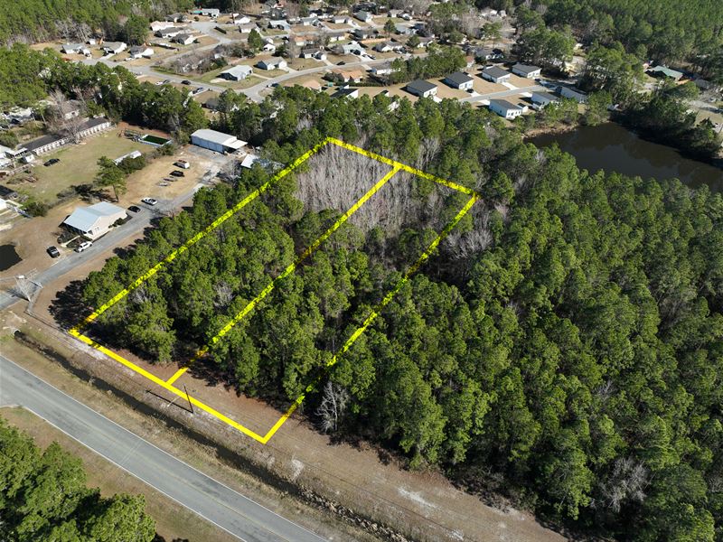 Amazing Lot in St Marys, Georgia : Saint Marys : Camden County : Georgia