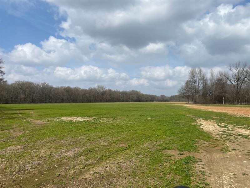 La, Richland 56 Acres : Rayville : Richland Parish : Louisiana