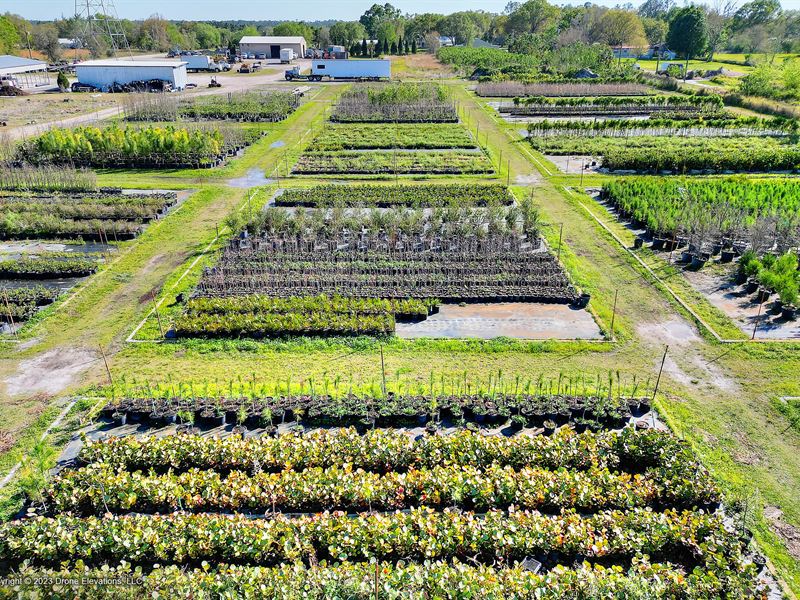 Lakeland Nursery, 14.02 Acres : Lakeland : Polk County : Florida