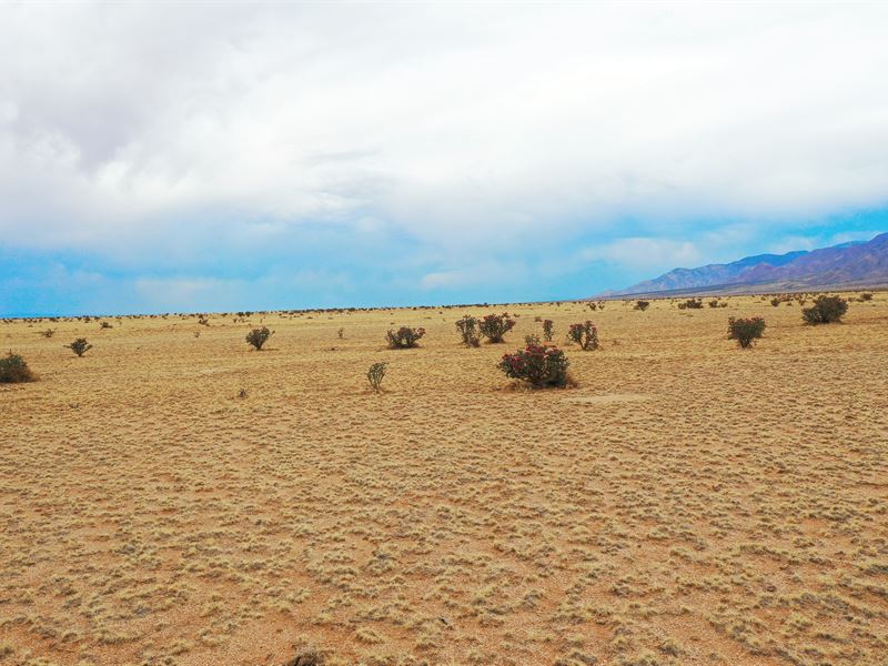 A Huge 11.34 Acre Vacant Land : Belen : Valencia County : New Mexico