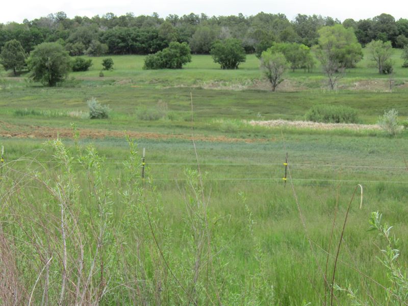 Bayfield Meadows : Bayfield : La Plata County : Colorado