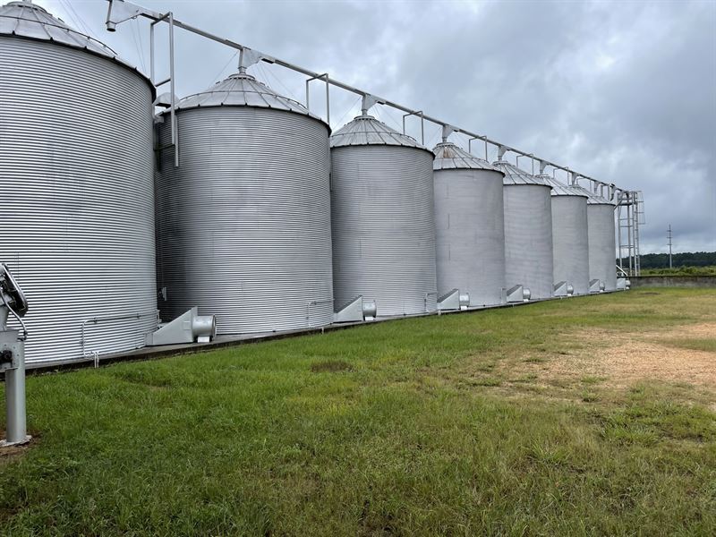Growers Supply, Grain Elevator : Frisco City : Monroe County : Alabama