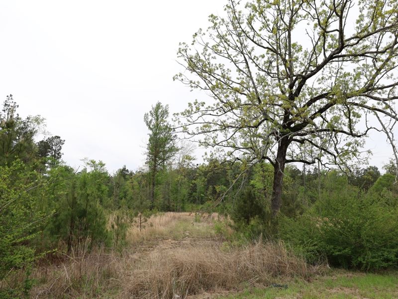La, Caldwell 3.69 Acres : Kelly : Caldwell Parish : Louisiana