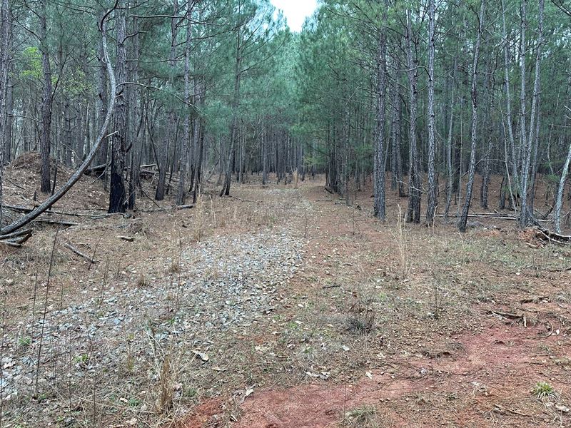 150 Whitetail Way : Bogart : Clarke County : Georgia