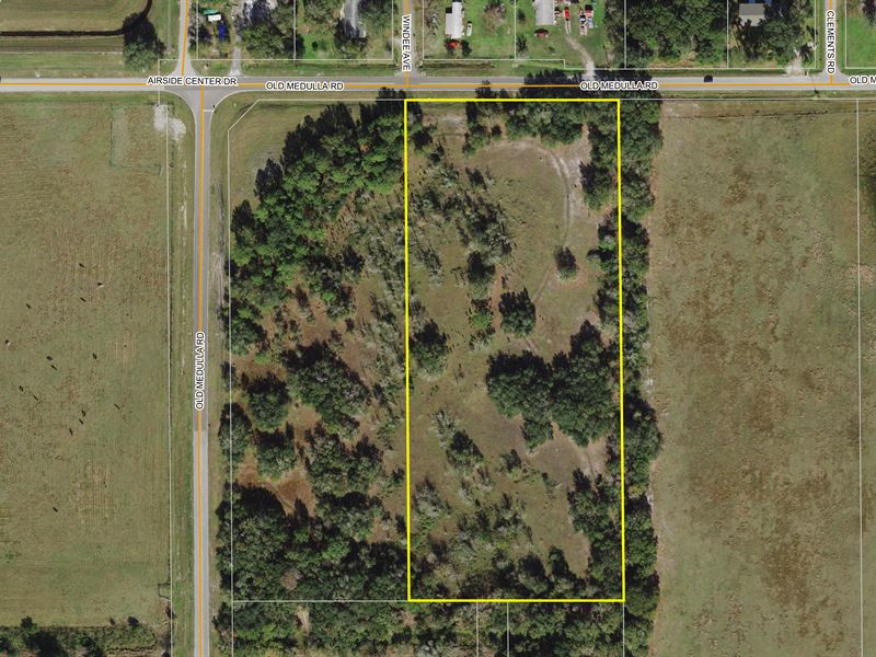 Lot 2, Old Medulla Rd Commercial : Lakeland : Polk County : Florida
