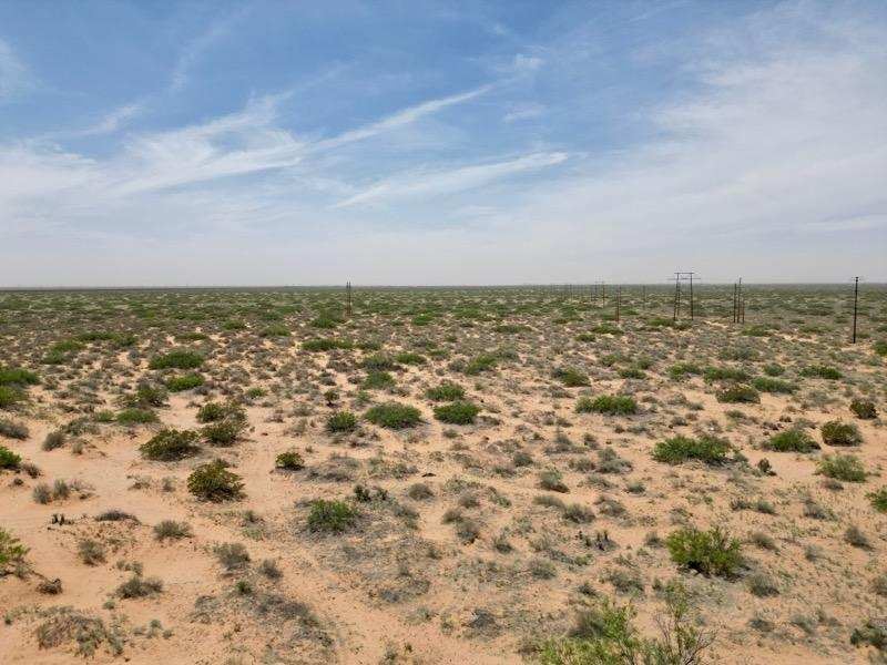Bargain Commercial 80 Acres : Sunland Park : Doña Ana County : New Mexico
