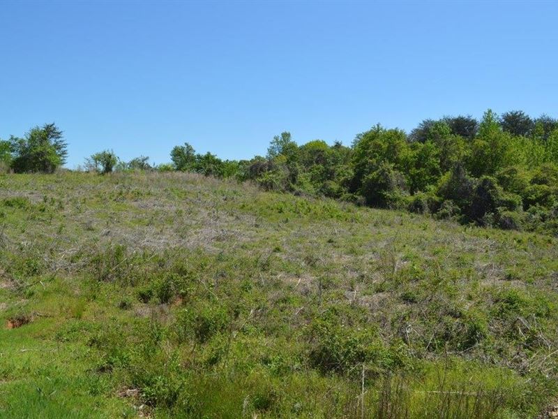 1.77 Acres Commercial Lot, Travele : Travelers Rest : Greenville County : South Carolina