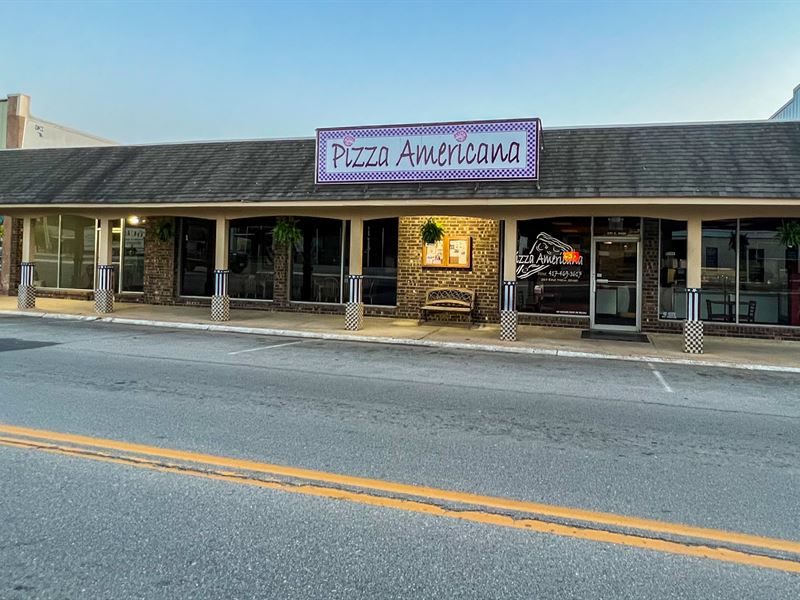 Pizza Americana : Willow Springs : Howell County : Missouri