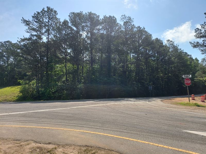 I-65 Exit 107 Property : McKenzie : Butler County : Alabama