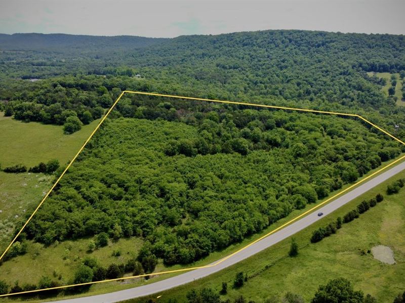 Trigger Gap Acreage : Berryville : Carroll County : Arkansas