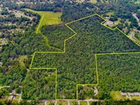 38.34+/- Acres, FM 841 : Lufkin : Angelina County : Texas