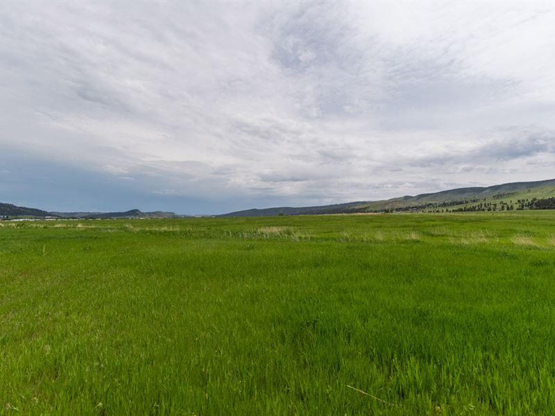 Piedmont Valley Acreage : Piedmont : Meade County : South Dakota