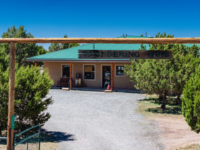 Thundering Paws Pet Resort : Alto : Lincoln County : New Mexico