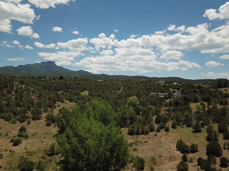 28 Commercial Acres on Santa Fe Tra : Trinidad : Las Animas County : Colorado