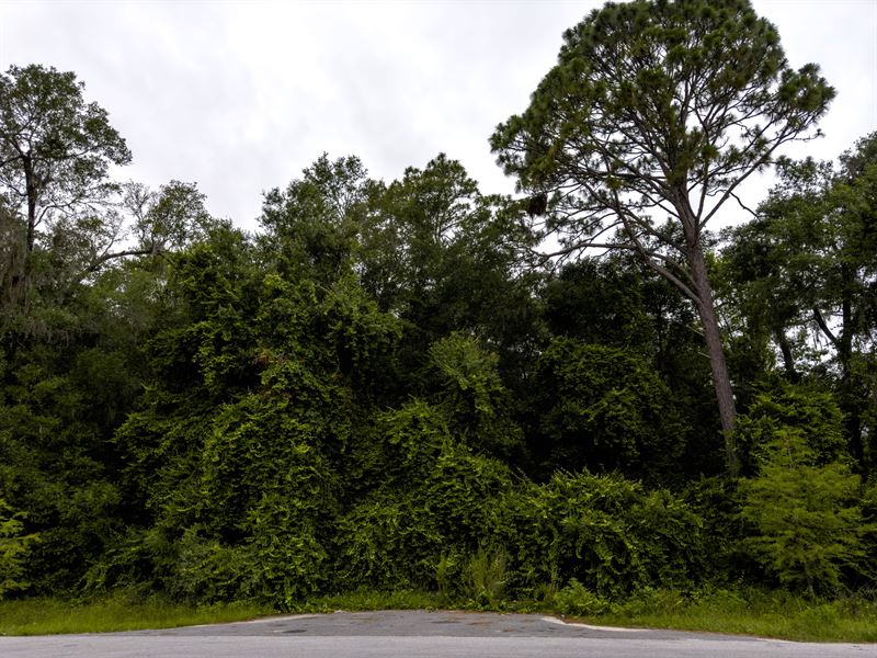 NW Ocala 2.5 Acre Dev Opportunity : Ocala : Marion County : Florida