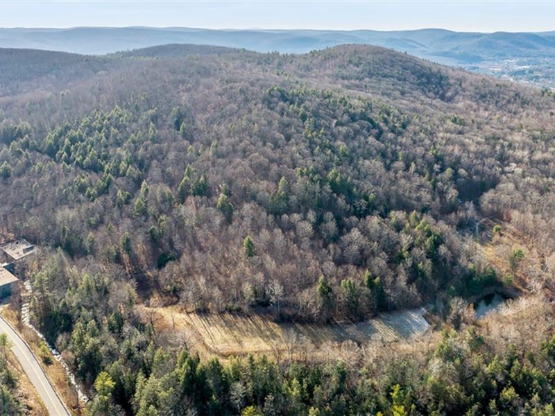 611K Sqft in Windsor, MA : Windsor : Berkshire County : Massachusetts