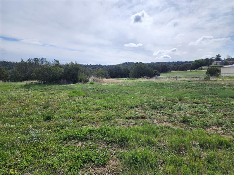 Commercial and Residential : Trinidad : Las Animas County : Colorado
