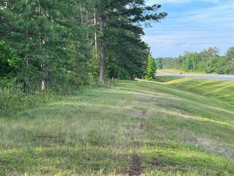 50 Acre Timber Tract & Future Homes : Cottondale : Jackson County : Florida