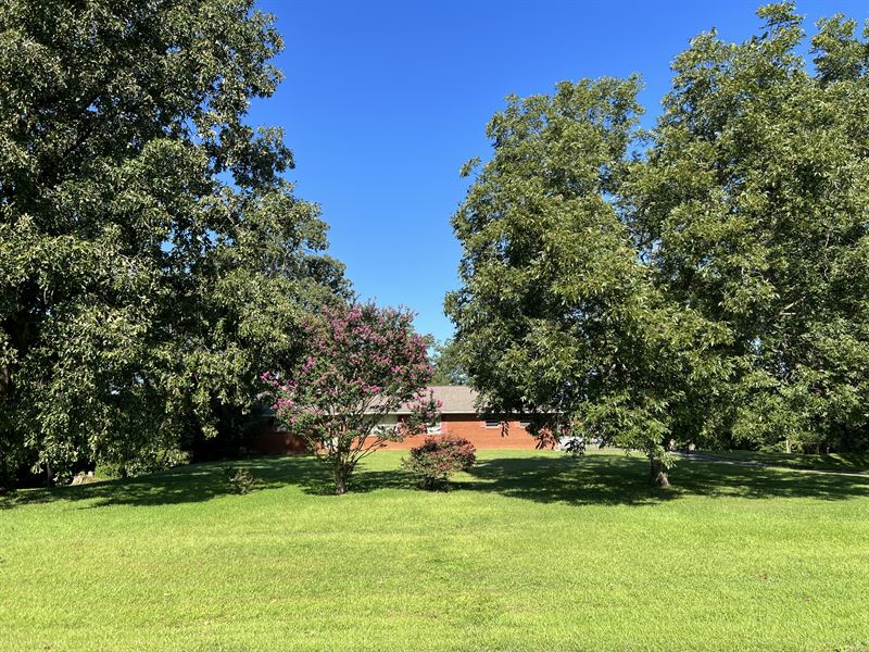 Acreage on Both Sides of Hwy 61 : Cartersville : Bartow County : Georgia