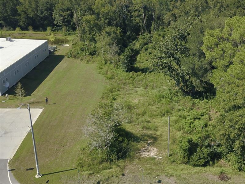 Magnolia Springs Commercial Lot : Magnolia Springs : Baldwin County : Alabama
