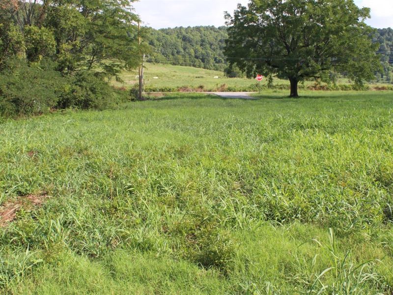 Lot in The City Limits Of Marshall : Marshall : Searcy County : Arkansas