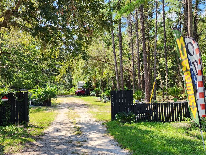 Land Hacking at Its Finest : Hawthorne : Alachua County : Florida