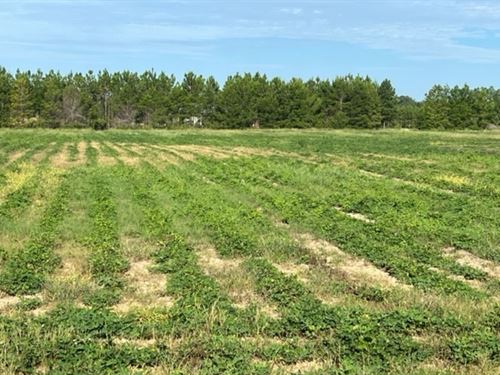 9.5 Acres Stephens Flat Road Tract : Greenwood : Jackson County : Florida