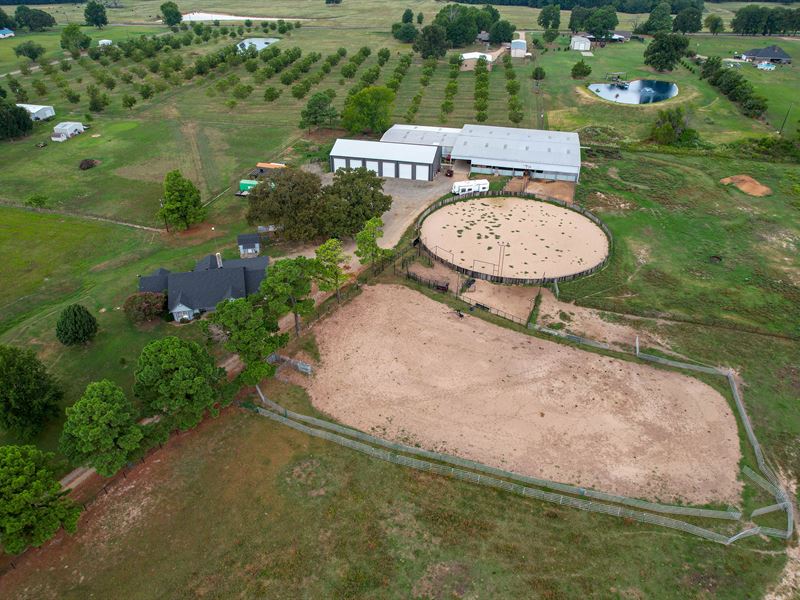 Northeast Texas Equine Estate : Paris : Lamar County : Texas