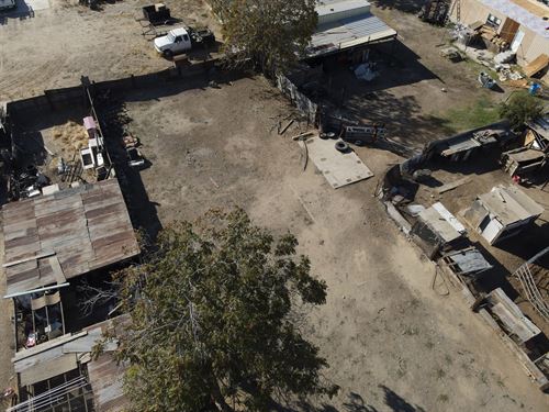 Timeless Beauty, Own It Now : Bakersfield : Kern County : California