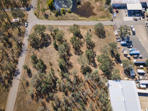 Elevate Your Business in Redding : Redding : Shasta County : California