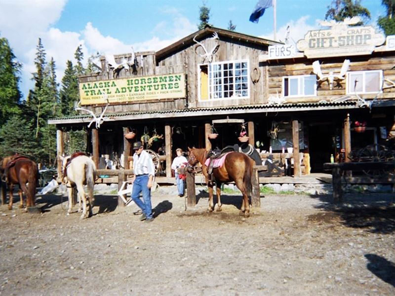 Alaska Horsemen Trail Adventures : Cooper Landing : Kenai Peninsula Borough : Alaska