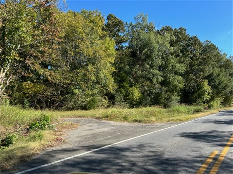 Hwy 101 Commercial Acreage : Aragon : Polk County : Georgia