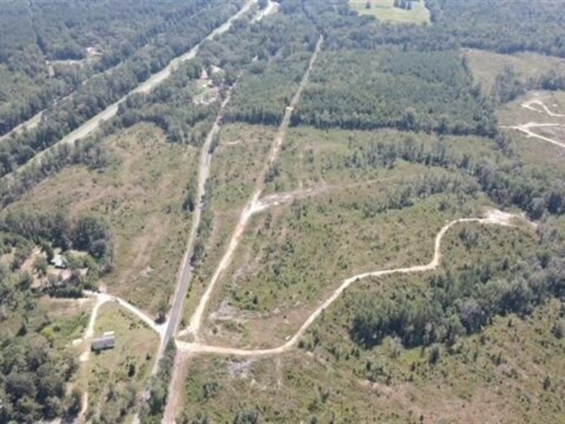 81 Acres Jasper County : Heidelberg : Jasper County : Mississippi