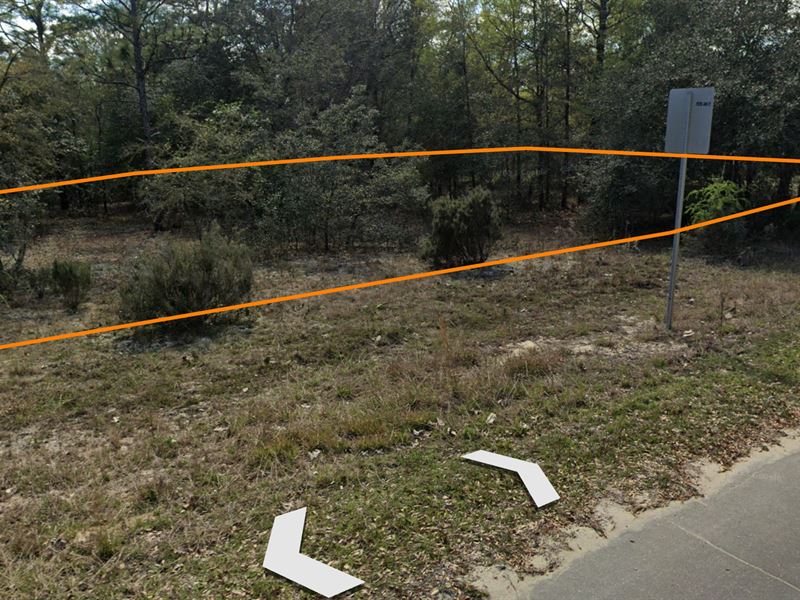 Buildable Land on a Paved Road : Interlachen : Putnam County : Florida