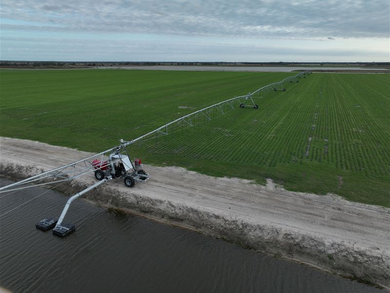 1203 Acre Sod Operation : Punta Gorda : Charlotte County : Florida