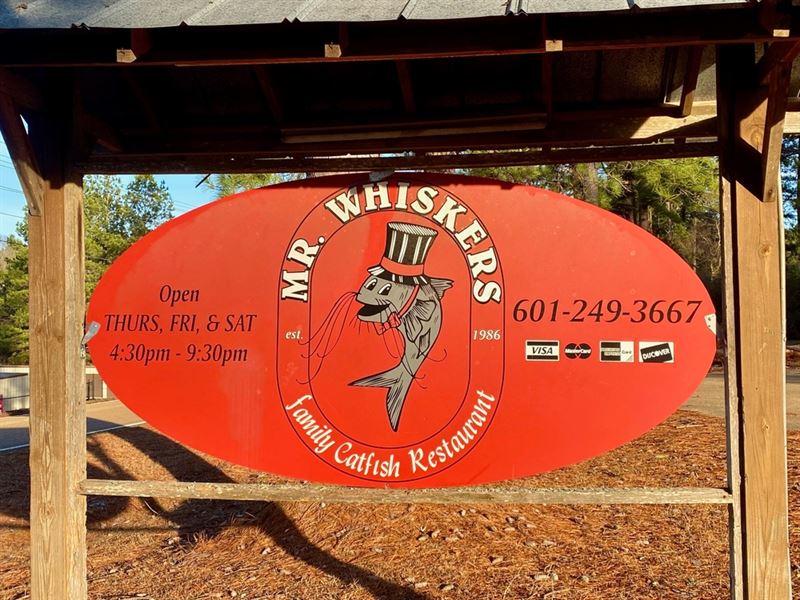 Mr Whiskers Family Catfish Restaura : McComb : Pike County : Mississippi