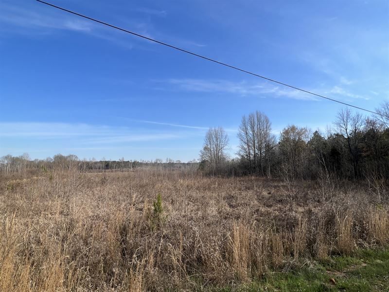 3.75 Buildable Acres : Iuka : Tishomingo County : Mississippi