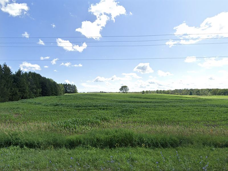Wilson Commercial Land Opportunity : Wilson : Sheboygan County : Wisconsin