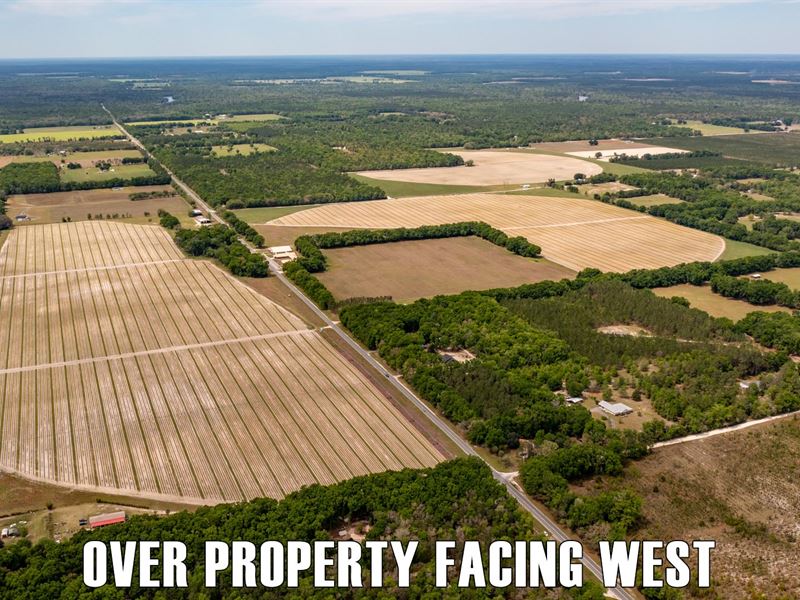 36.8 Acres Vacant Land in Bell, FL : Bell : Gilchrist County : Florida