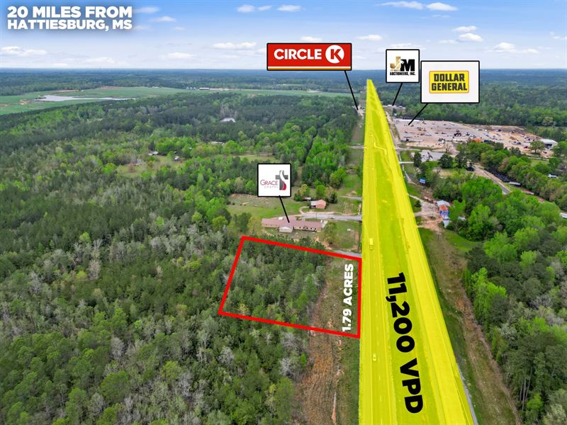 $1 Auction, Highway Frontage : Brooklyn : Forrest County : Mississippi