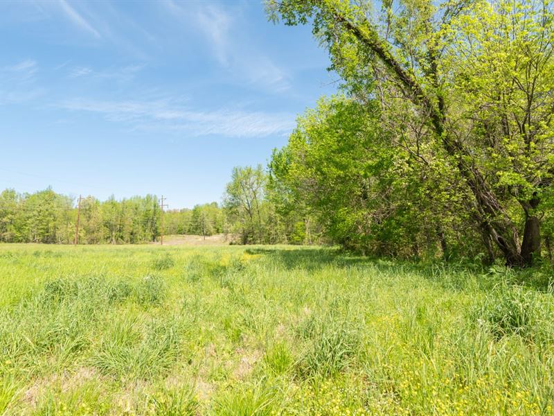 25 Acres for Sale in Bloomfield : Bloomfield : Stoddard County : Missouri