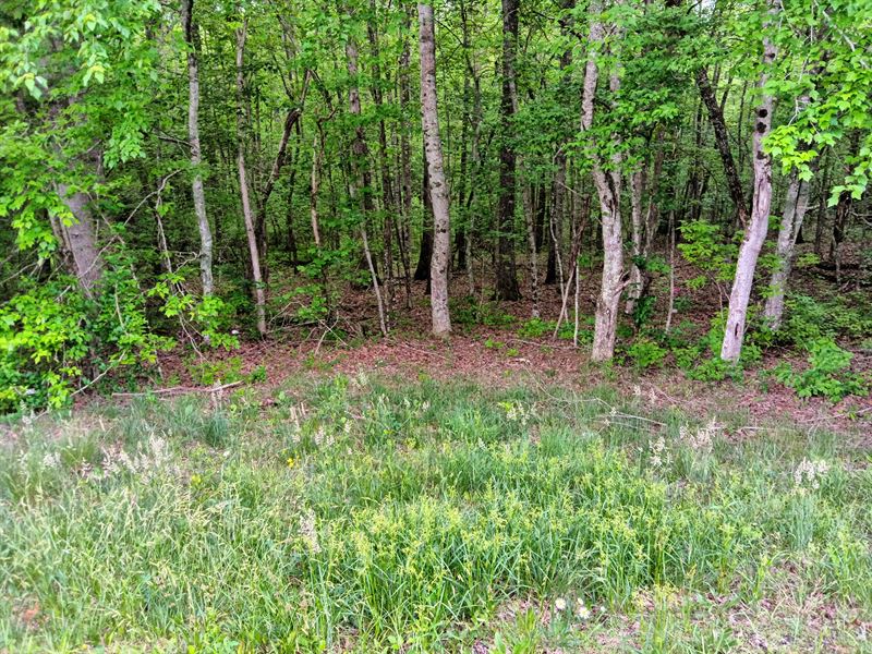 Rd Frontage, Level, Great Location : McMinnville : Van Buren County : Tennessee