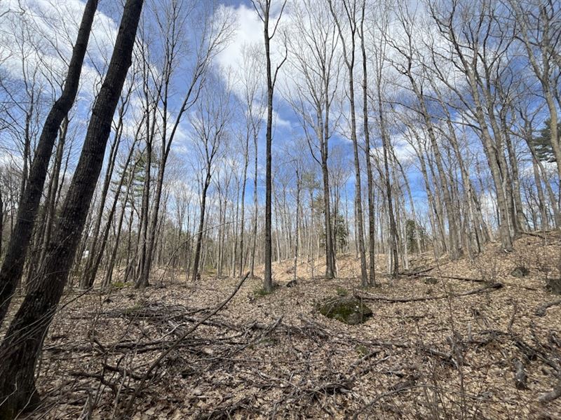 Turner, M47l79 Auburn Rd 16.9 Acres : Turner : Androscoggin County : Maine