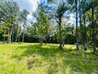 1.9 Acres, Tylertown, MS : Tylertown : Walthall County : Mississippi