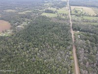 42 Acres For Sale With Old Country : Forest : Scott County : Mississippi