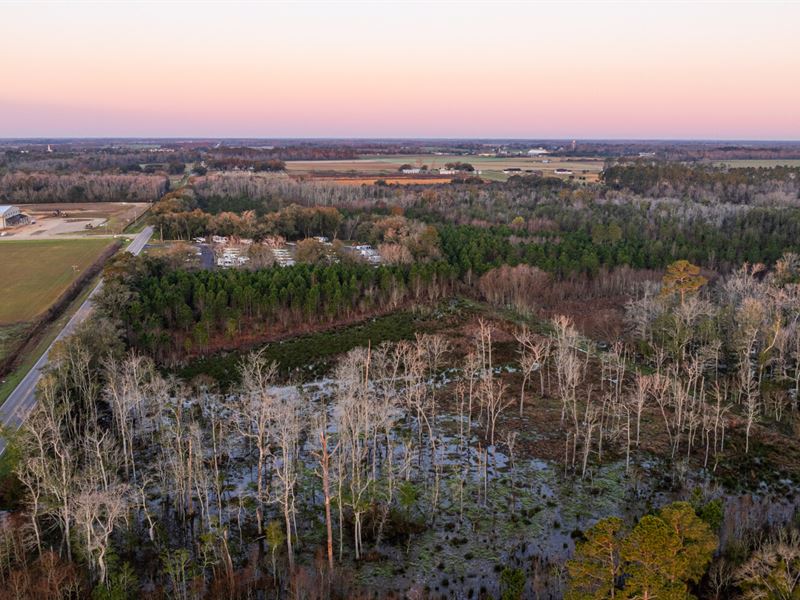 Prime Opportunity Baldwin Beach : Summerdale : Baldwin County : Alabama